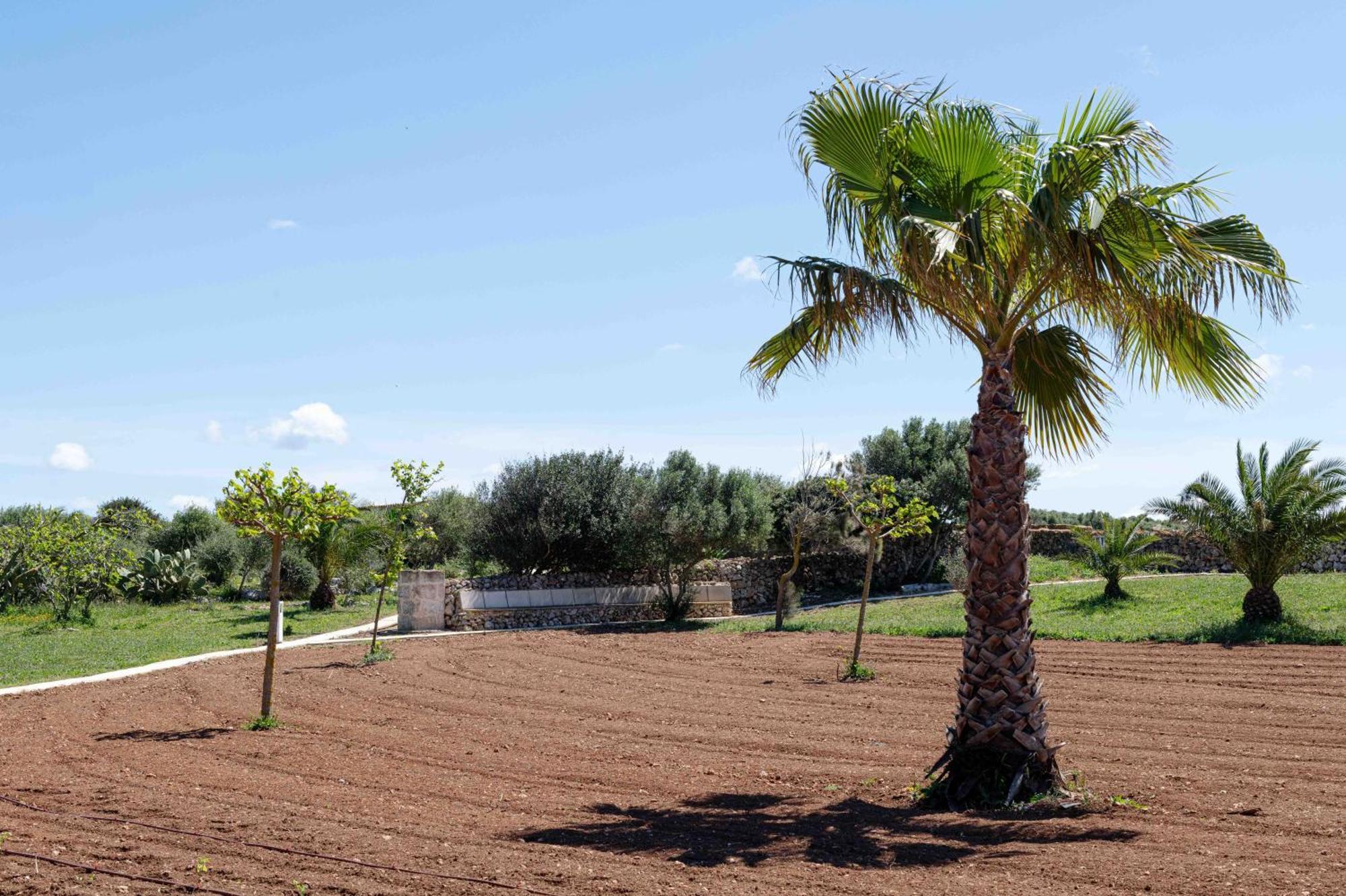 Agroturismo Son Juaneda Ciutadella  Exterior photo